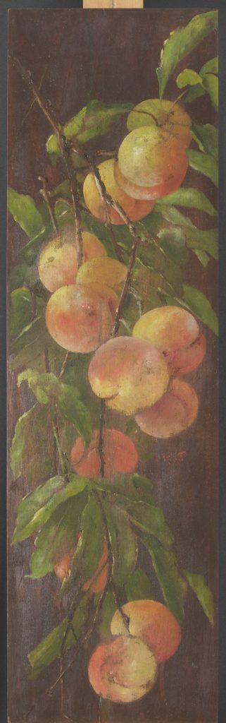 Listing cover image