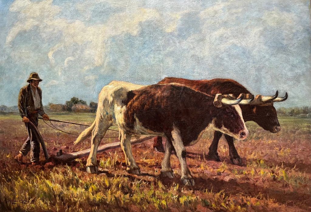 Listing cover image