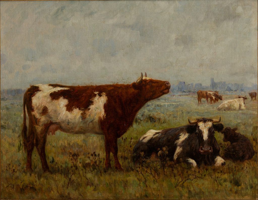 Listing cover image