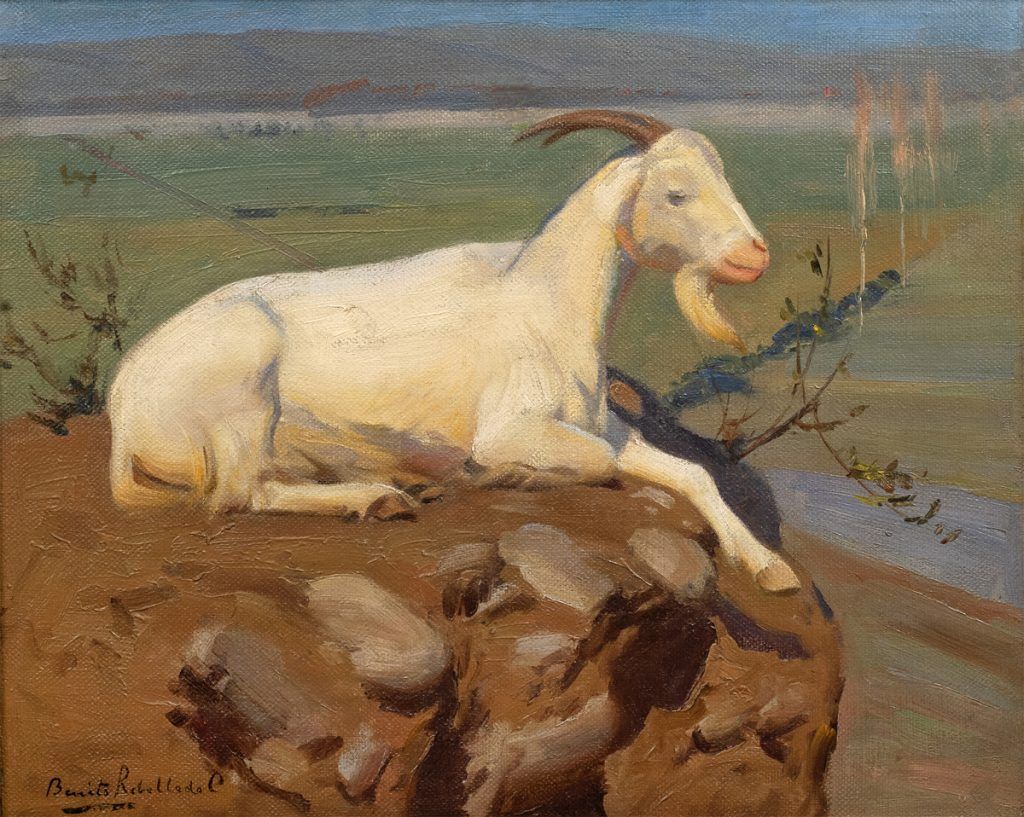 Listing cover image