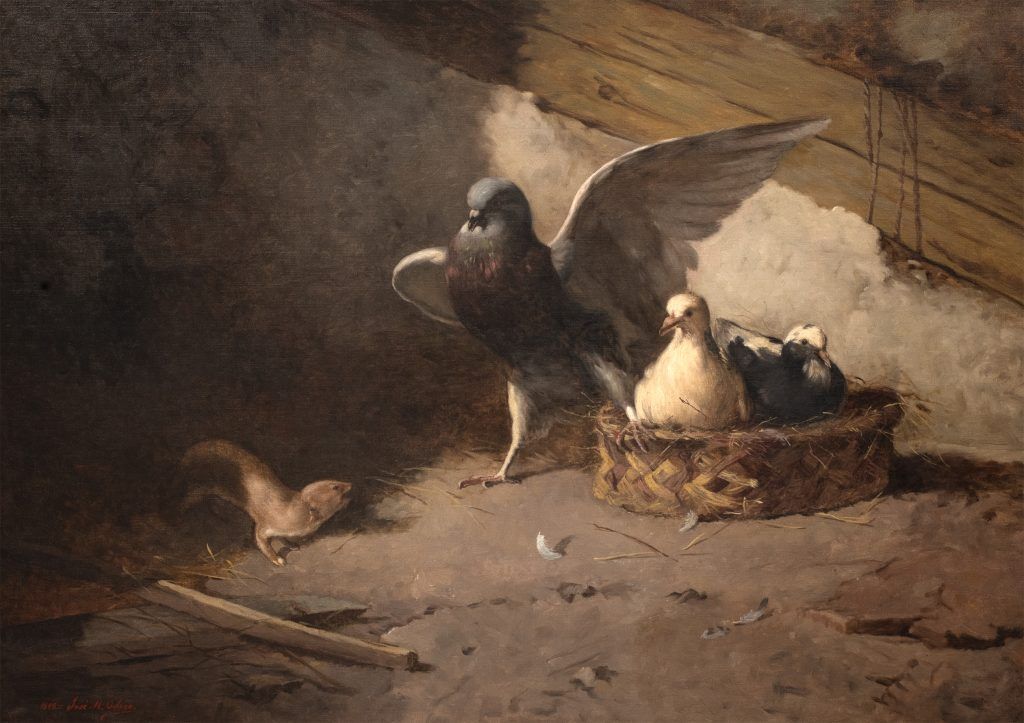Listing cover image