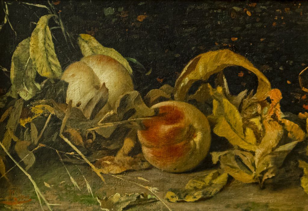 Listing cover image