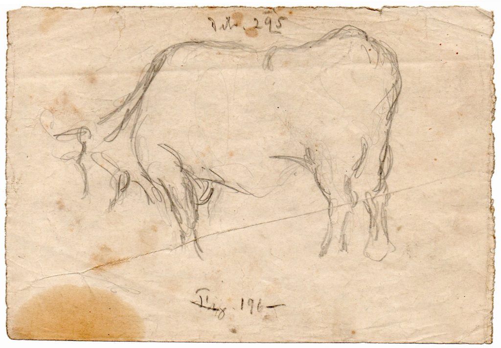 Listing cover image