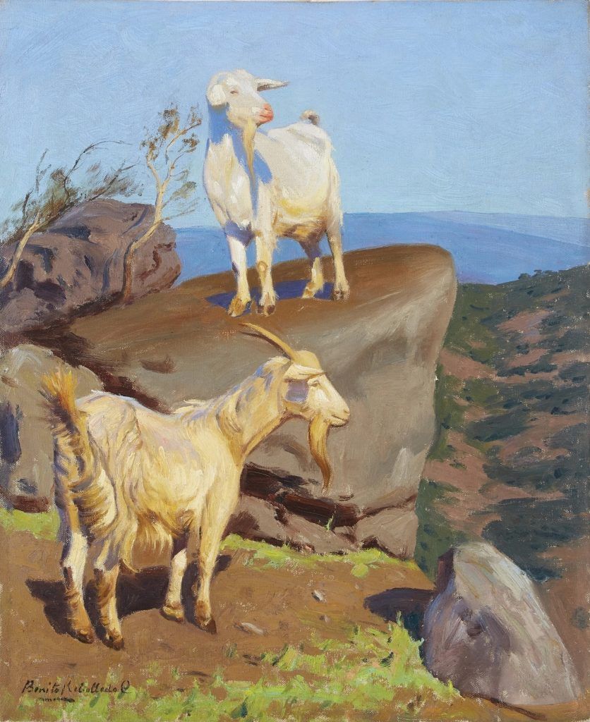 Listing cover image