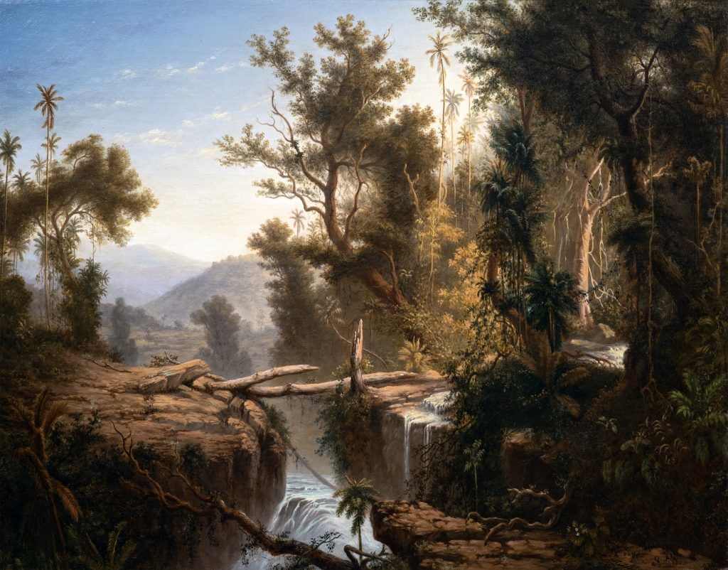 Listing cover image
