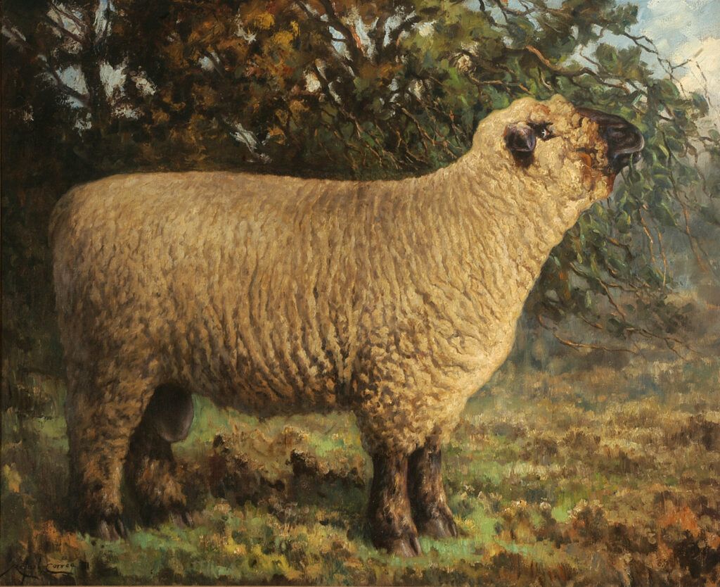 Listing cover image
