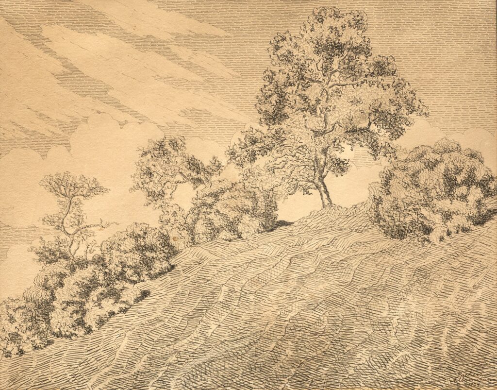 Listing cover image